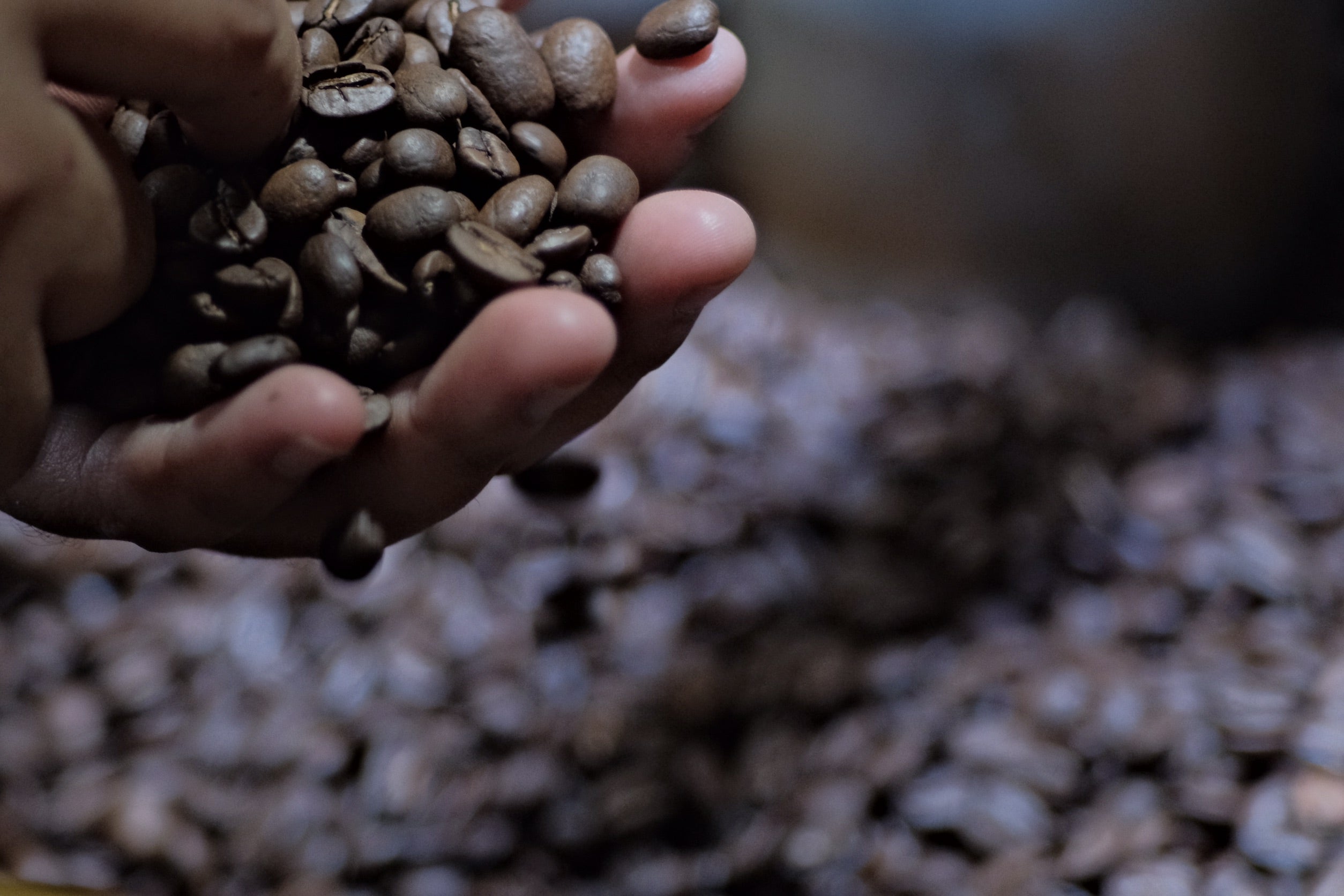 A close-up of a hand holding roasted coffee beans, with more coffee beans blurred in the background.