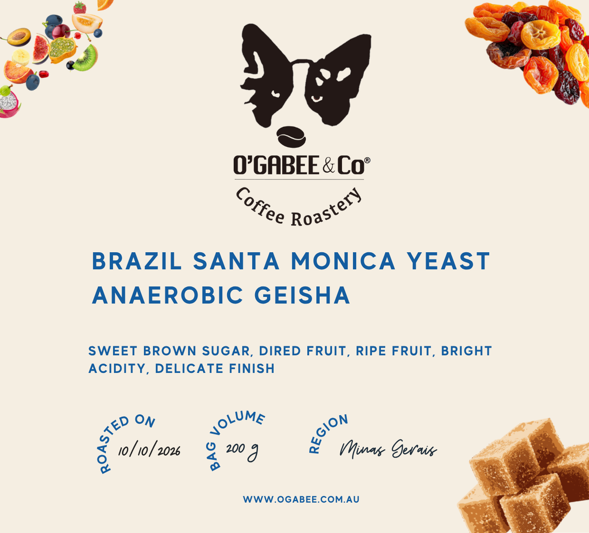 Brazil Santa Monica Yeast Anaerobic Geisha