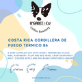 Costa Rica Cordillera De Fuego Termico B6 - O'GaBee & Co Coffee Roastery