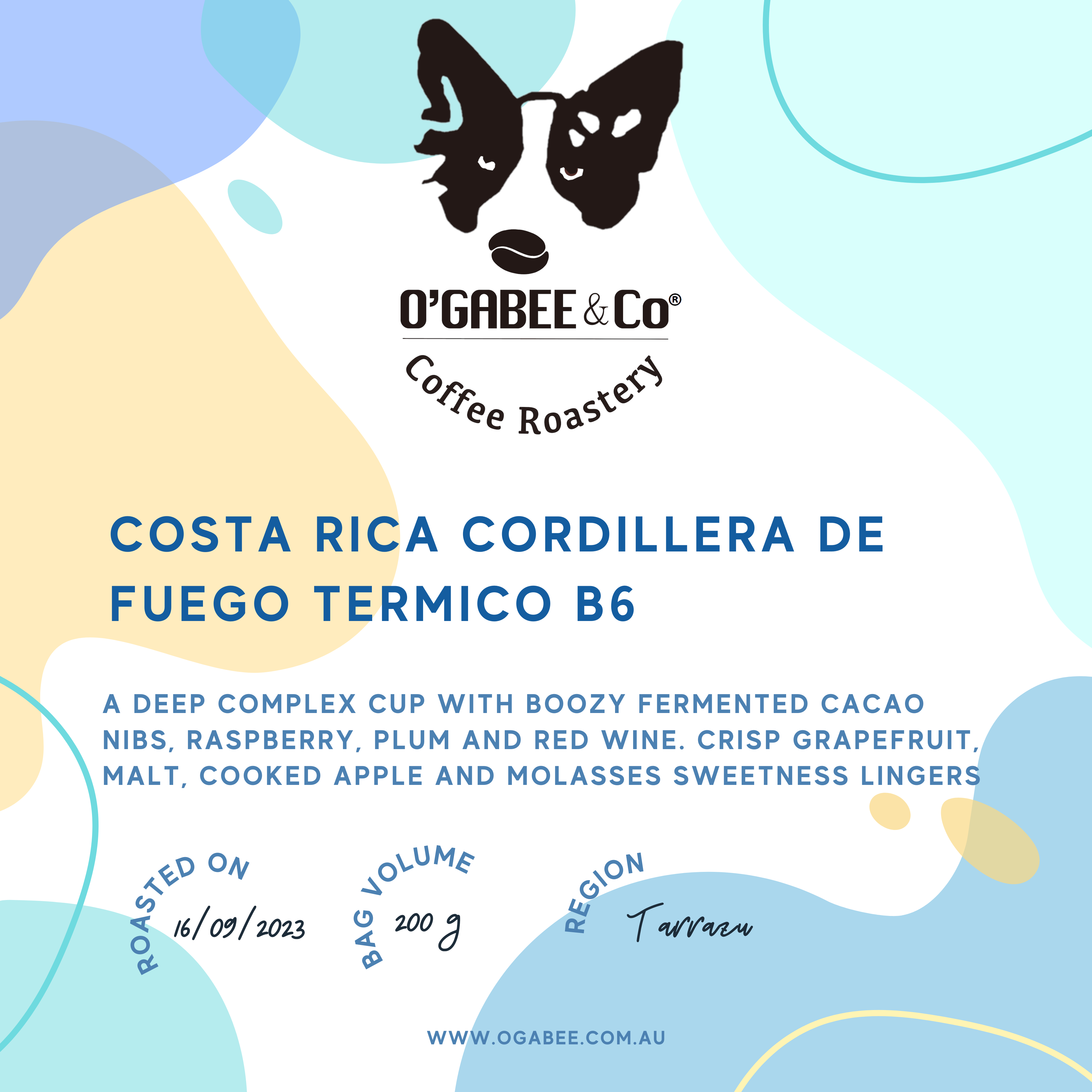 Costa Rica Cordillera De Fuego Termico B6 - O'GaBee & Co Coffee Roastery