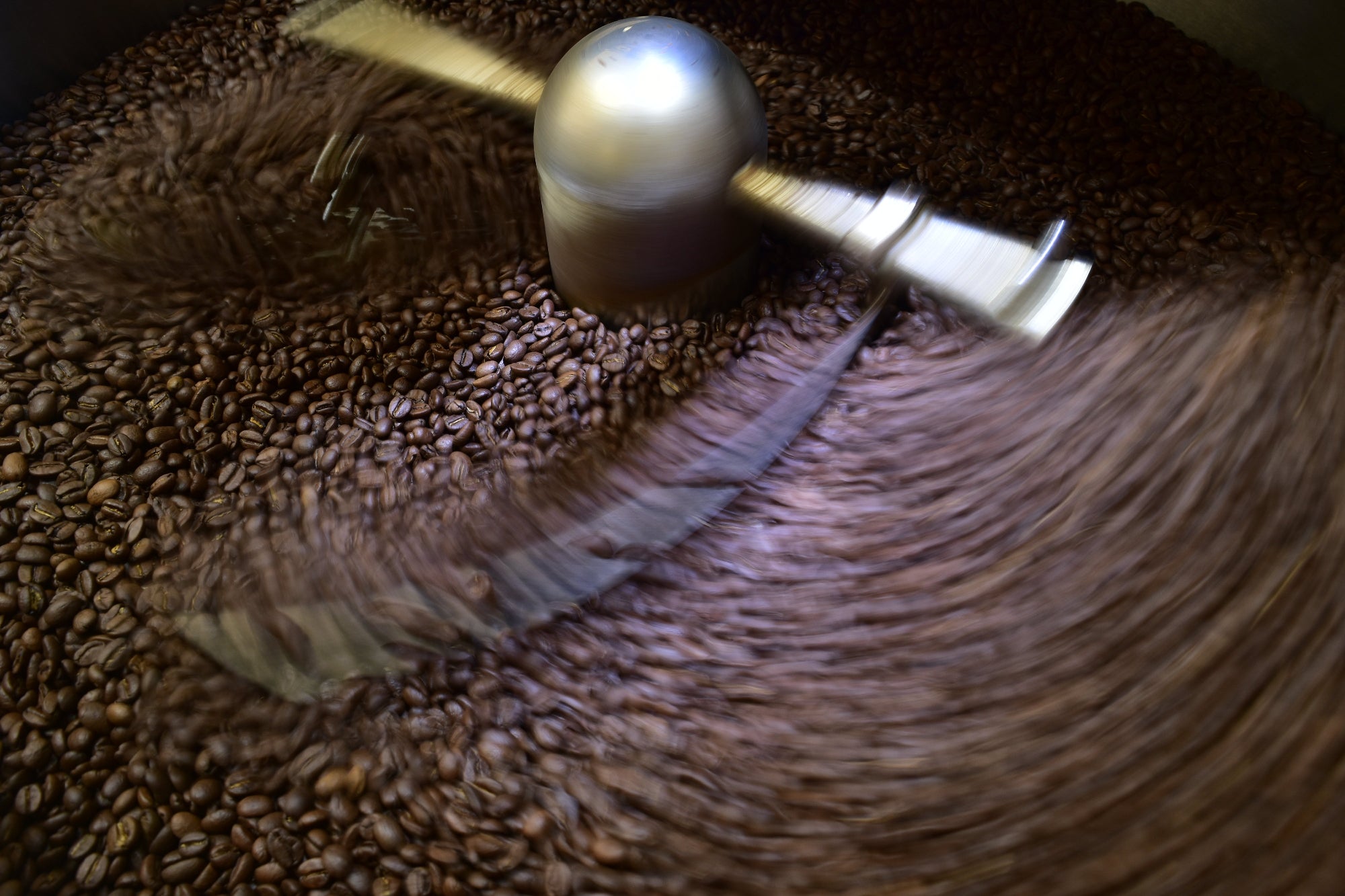 Freshly Roasted Daily in Brisbane