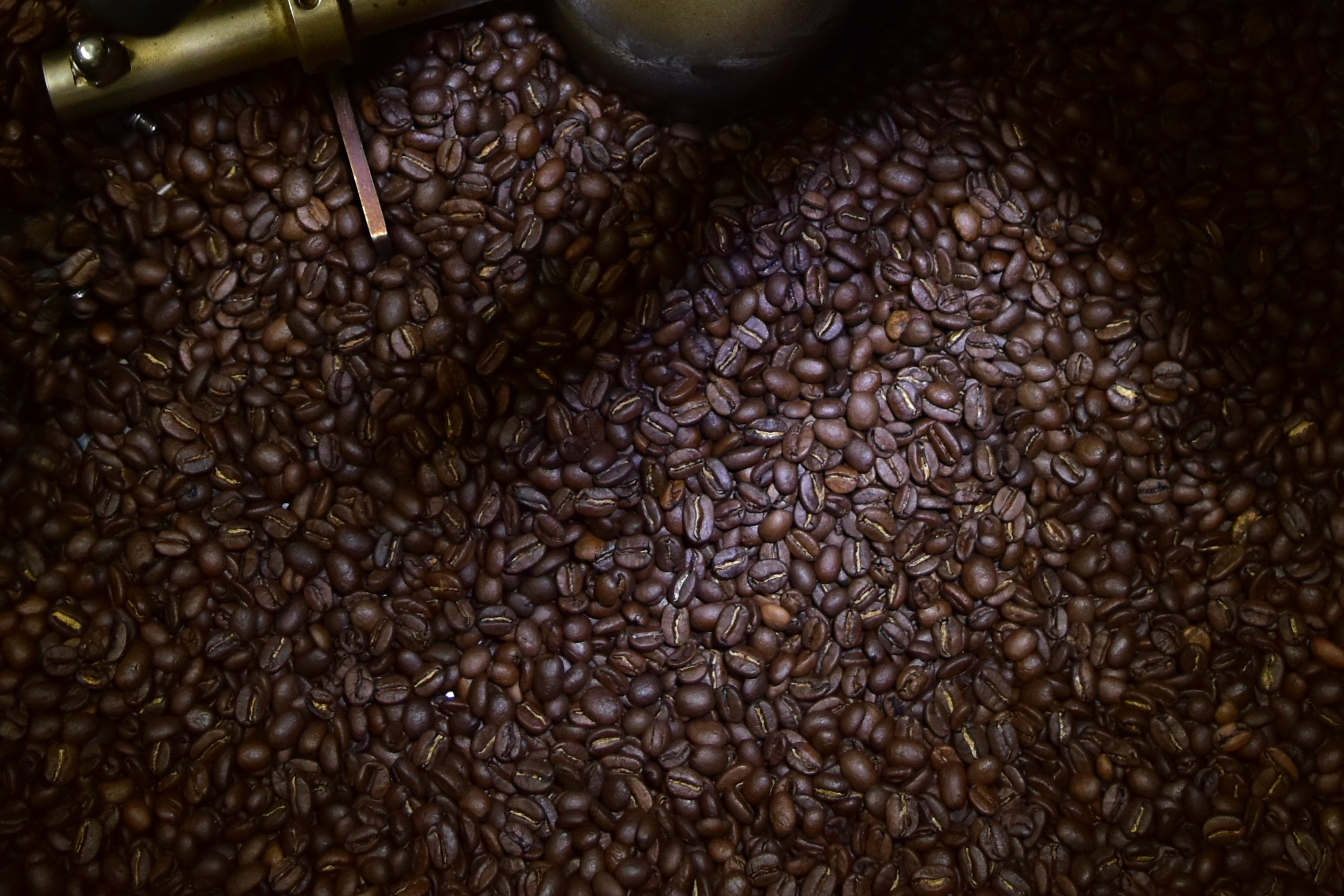 specialty coffee beans to cafés, restaurants, offices and businesses across Brisbane and South East Queensland, Australia